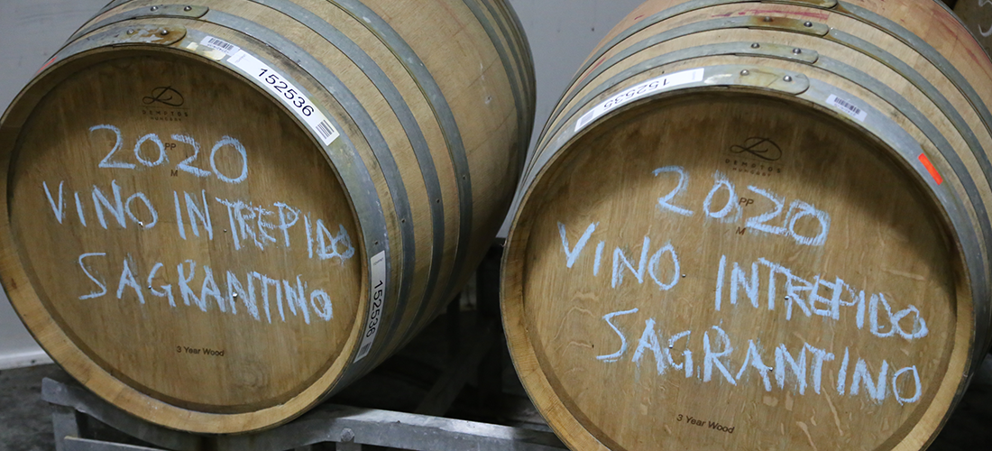 Vino Intrepido 2020 barrels